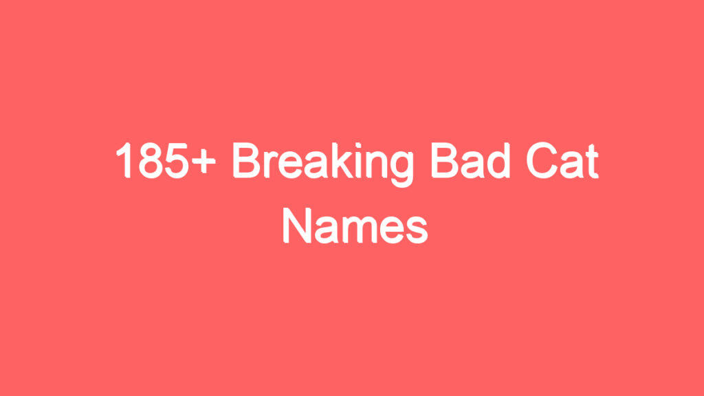 185 breaking bad cat names 3991