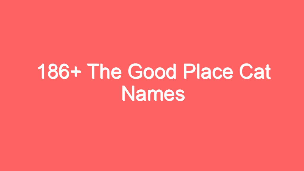 186 the good place cat names 3983