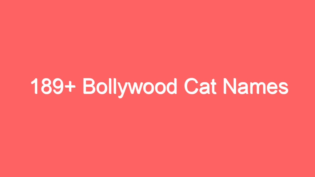 189 bollywood cat names 3988