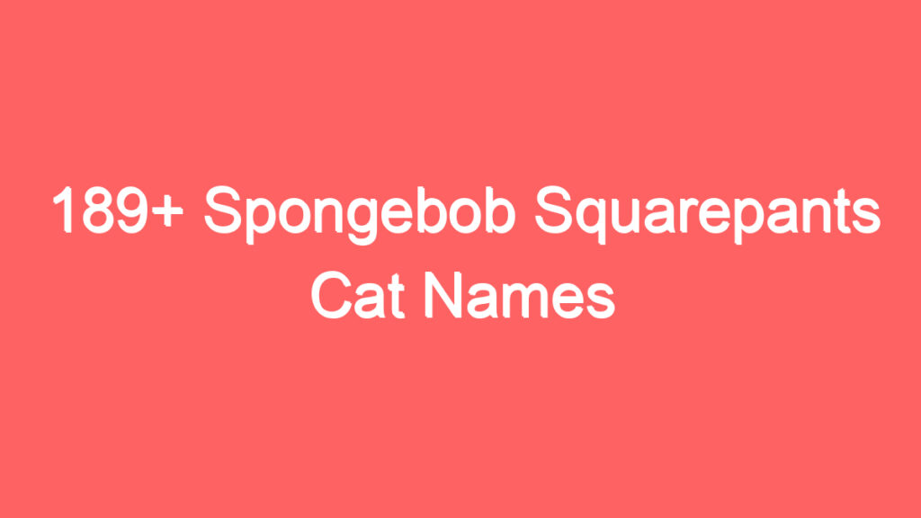 189 spongebob squarepants cat names 3971