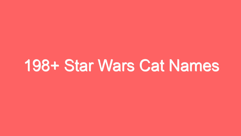 198 star wars cat names 3955